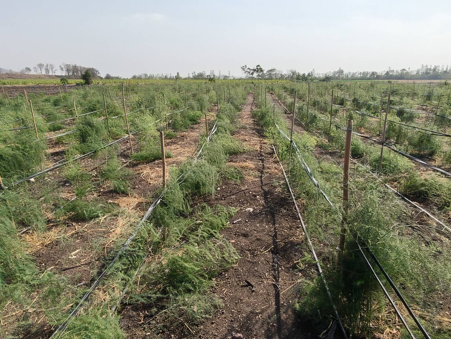 title - ผู้ตรวจราชการ ส.ป.ก. ประชุมตรวจติดตามความก้าวหน้าผลการดำเนินงานตามแผนการตรวจราชการ ประจำปีงบประมาณ พ.ศ. 2569 รอบที่ 1 เขตตรวจราชการที่ 1 จังหวัดลพบุรี